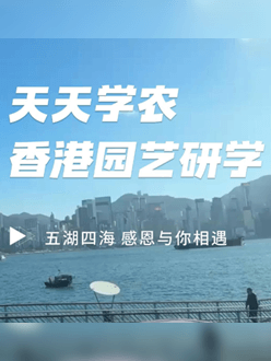 与香港园艺学会联合举办香港园艺研学，专业园境师带队讲解。